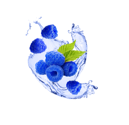 Splash Image