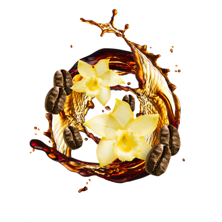 Splash Image