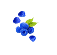 Blue Raspberry / 65ml