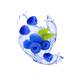 Splash Image