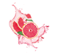 Splash Image