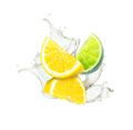 Lemon Lime / 330ml