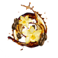 Splash Image