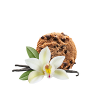 Milkshake Style Vanilla Chocolate Chip Cookie / 25g Probe
