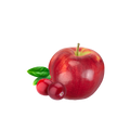Cranberry-Apple / 9g Probe