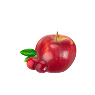 Cranberry-Apple / 270g