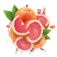 Splash Image
