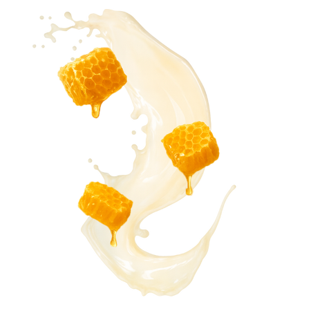 Splash Image