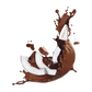 Splash Image