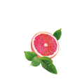 Grapefruit Mate Tea