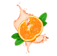 Splash Image