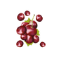 Splash Image