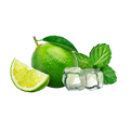 Lemonade Style Virgin Mojito / 600g