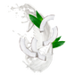 Splash Image