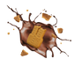 Splash Image